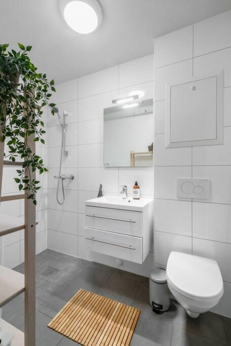 Hidden Gem Near The Old Town Bridge, 40M² Apt. 特隆赫姆 外观 照片